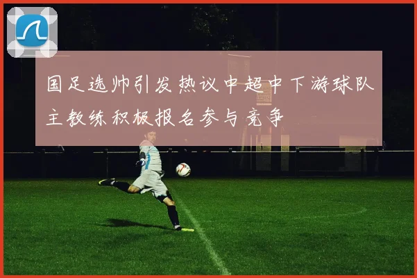 国足选帅引发热议中超中下游球队主教练积极报名参与竞争