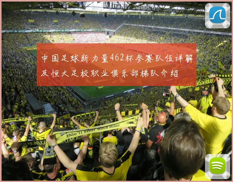 中国足球新力量462杯参赛队伍详解及恒大足校职业俱乐部梯队介绍