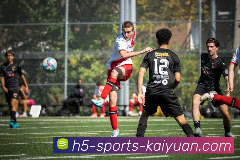 开元体育服务体系